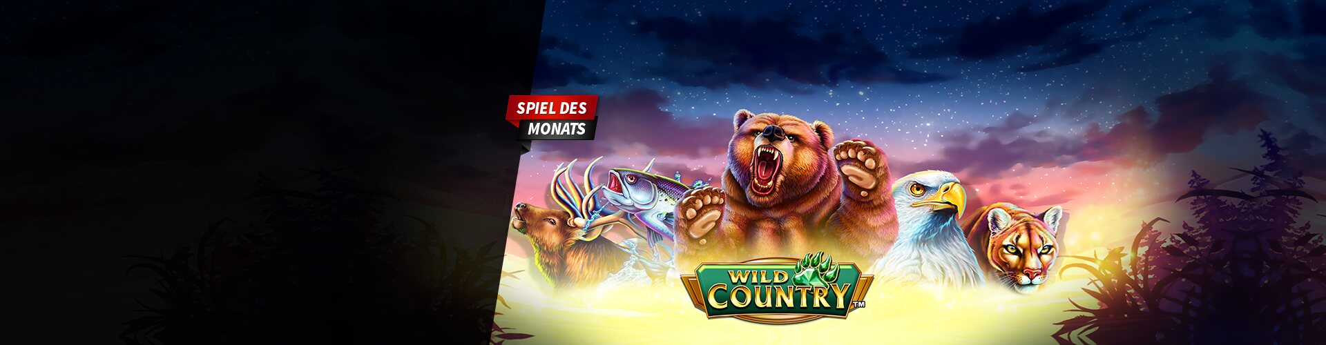 Stargames Neue Agb Stargames Neue Agb